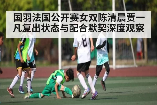 国羽法国公开赛女双陈清晨贾一凡复出状态与配合默契深度观察